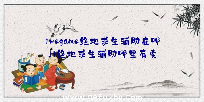 「wegame绝地求生辅助在哪」|绝地求生辅助哪里有卖